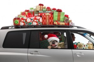 Tips for Smooth Holiday Travel