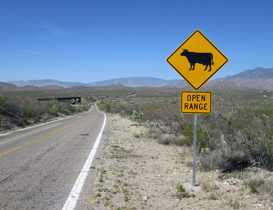 Car Accidents & Livestock in Roadway | Texas Fence Law