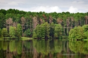 Power Line Electrocution on Lake